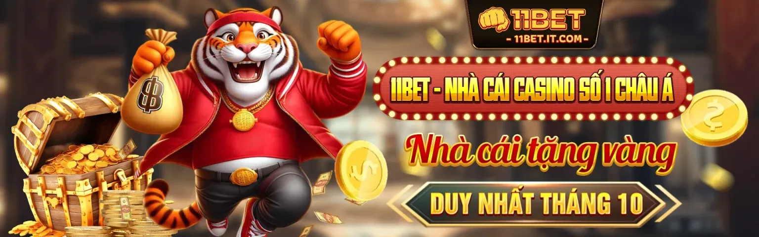 Hình ảnh chính thức của waybet, nền tảng cá cược trực tuyến uy tín hàng đầu năm 2026